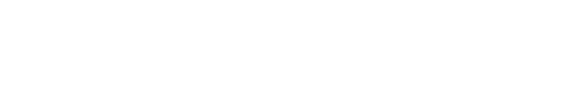 Website title